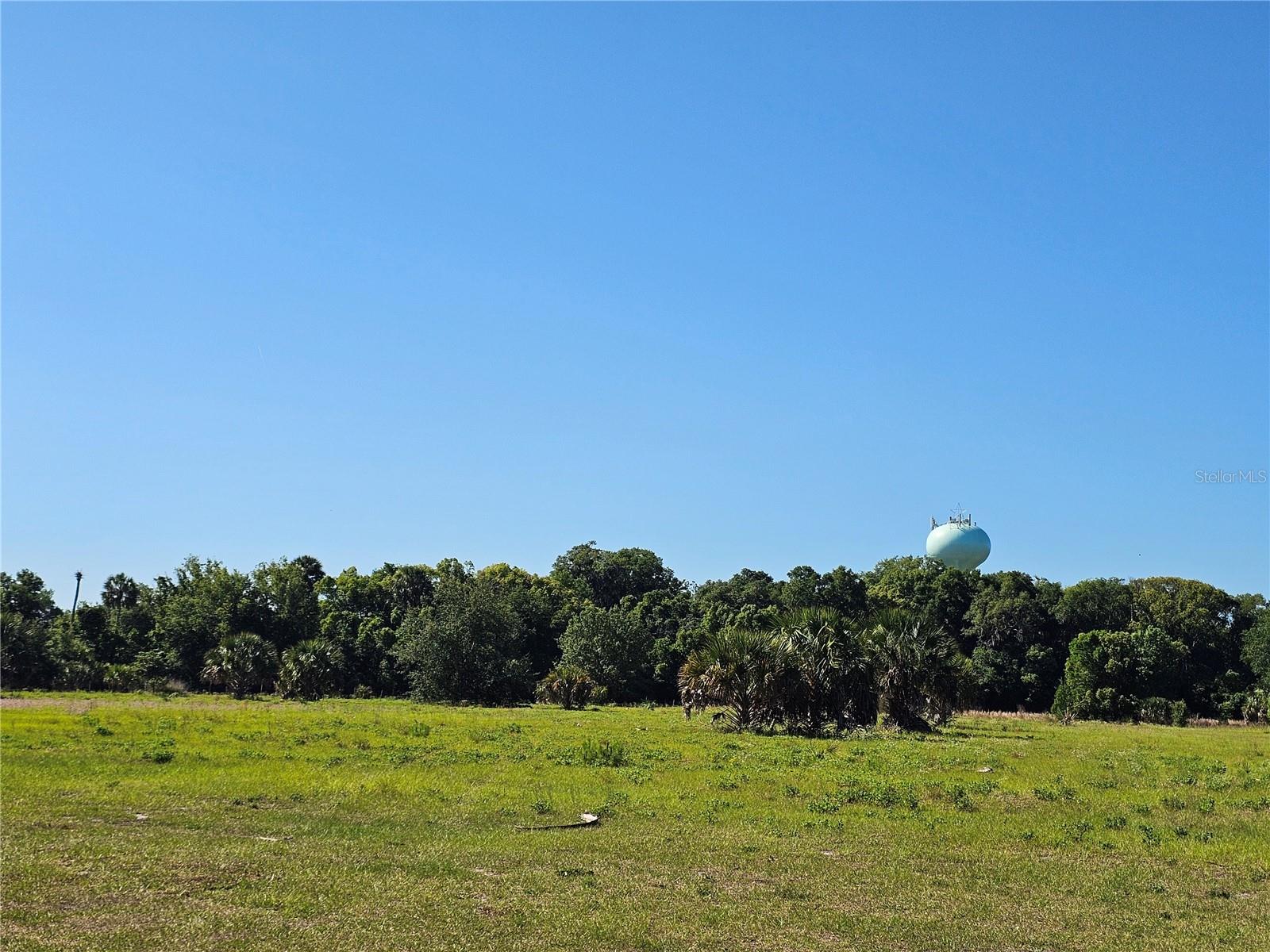 123 W 2ND AVE, PIERSON, FL — photo 17
