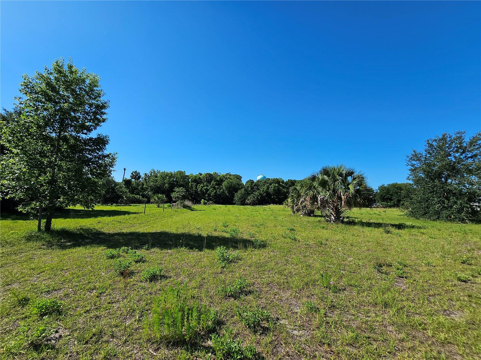 123 W 2ND AVE, PIERSON, FL — photo 19