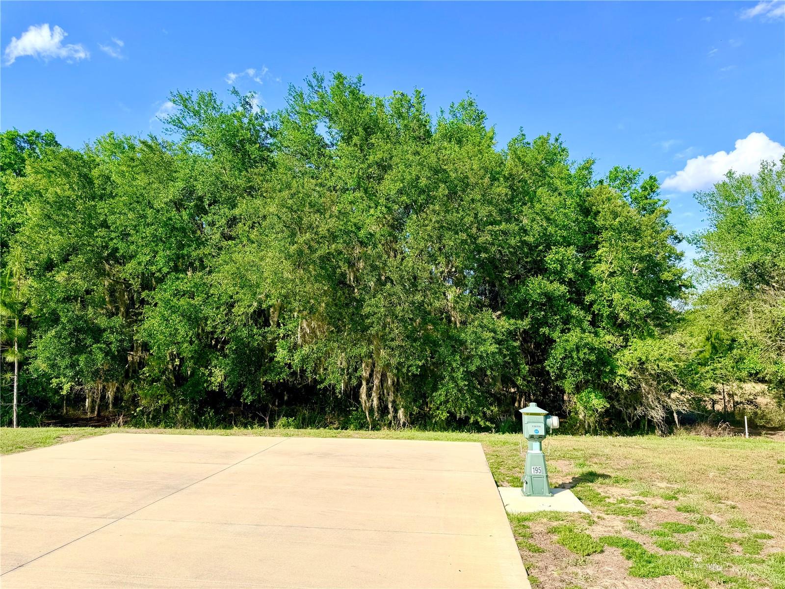 4933 SE 92ND BLVD, WEBSTER, FL — photo 5