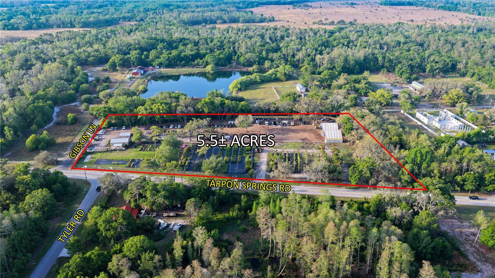 12980 TARPON SPRINGS RD, ODESSA, FL — photo 2