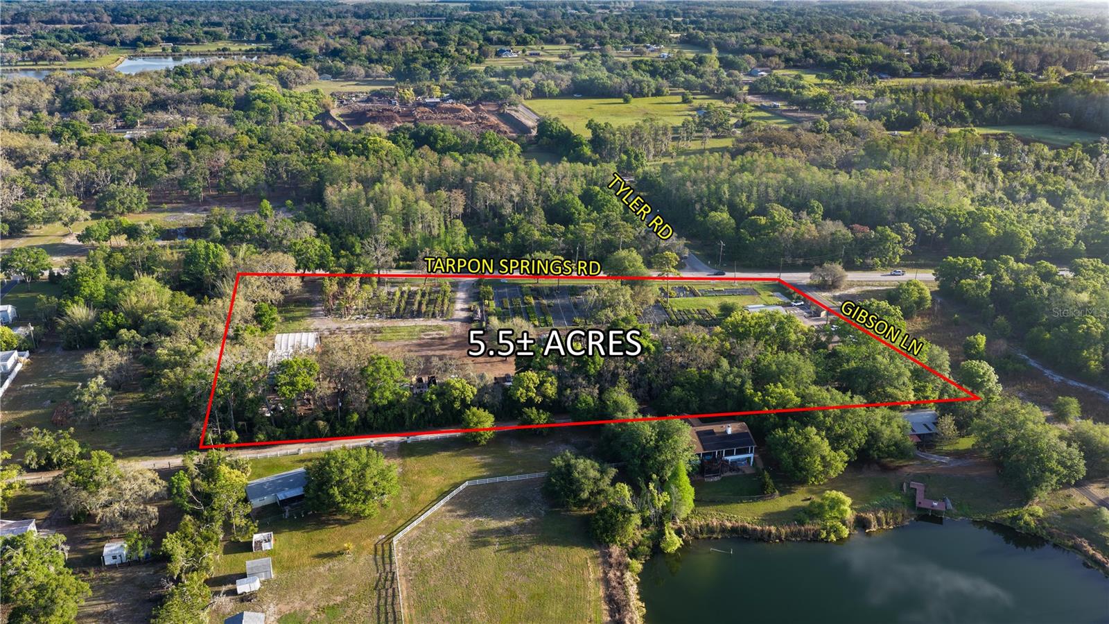 12980 TARPON SPRINGS RD, ODESSA, FL — photo 3