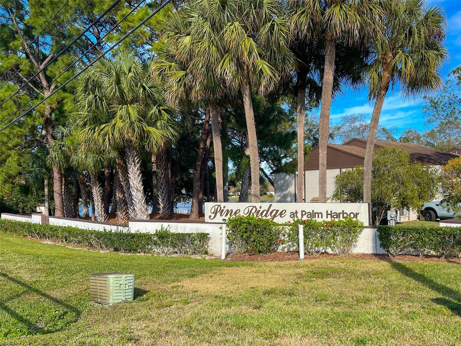 2642 PINE RIDGE WAY S #G2, PALM HARBOR, FL — photo 29