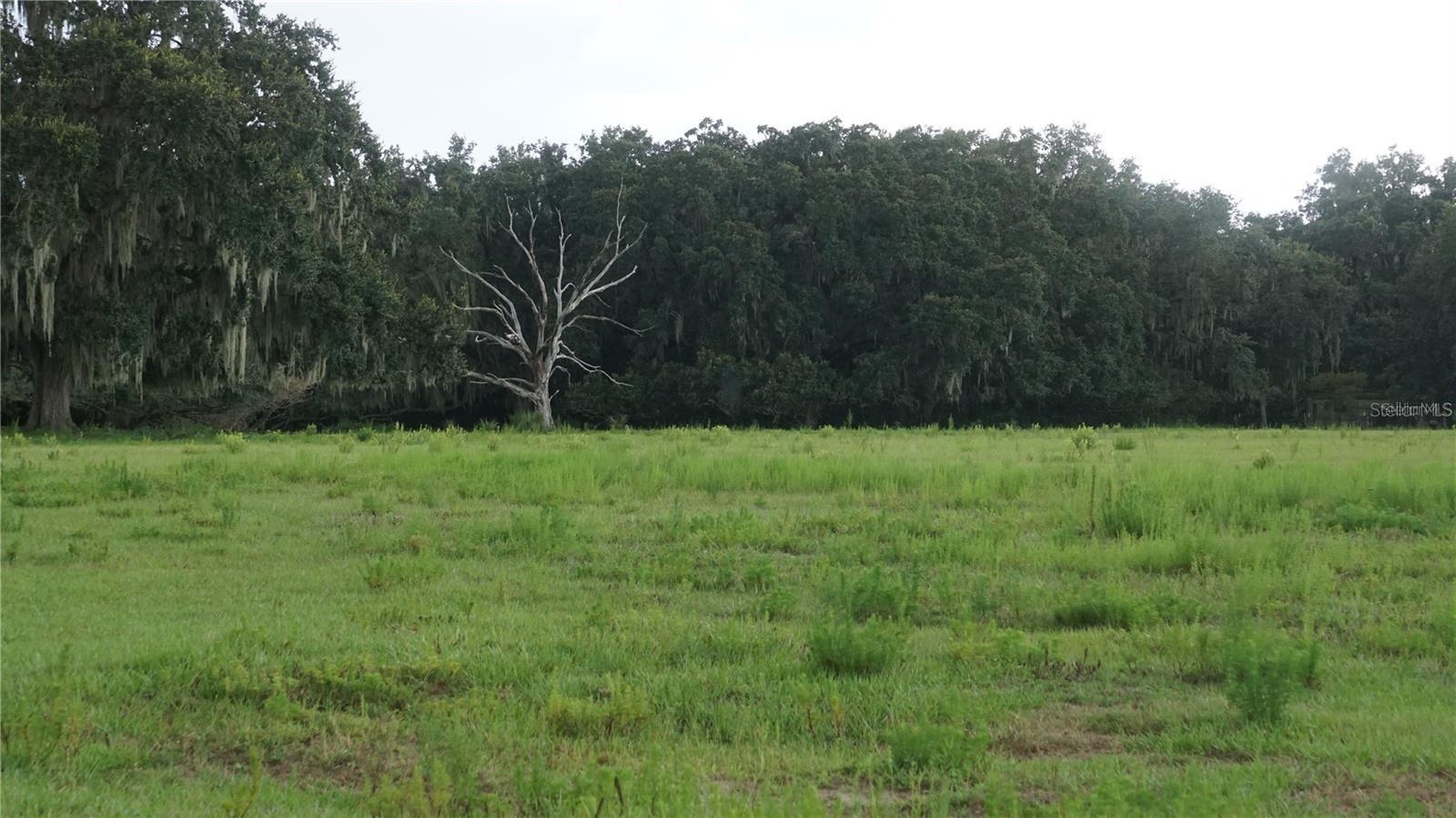 DURANT RD, DOVER, FL