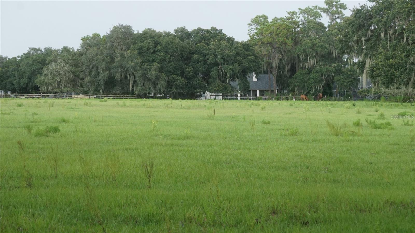 DURANT RD, DOVER, FL — photo 6