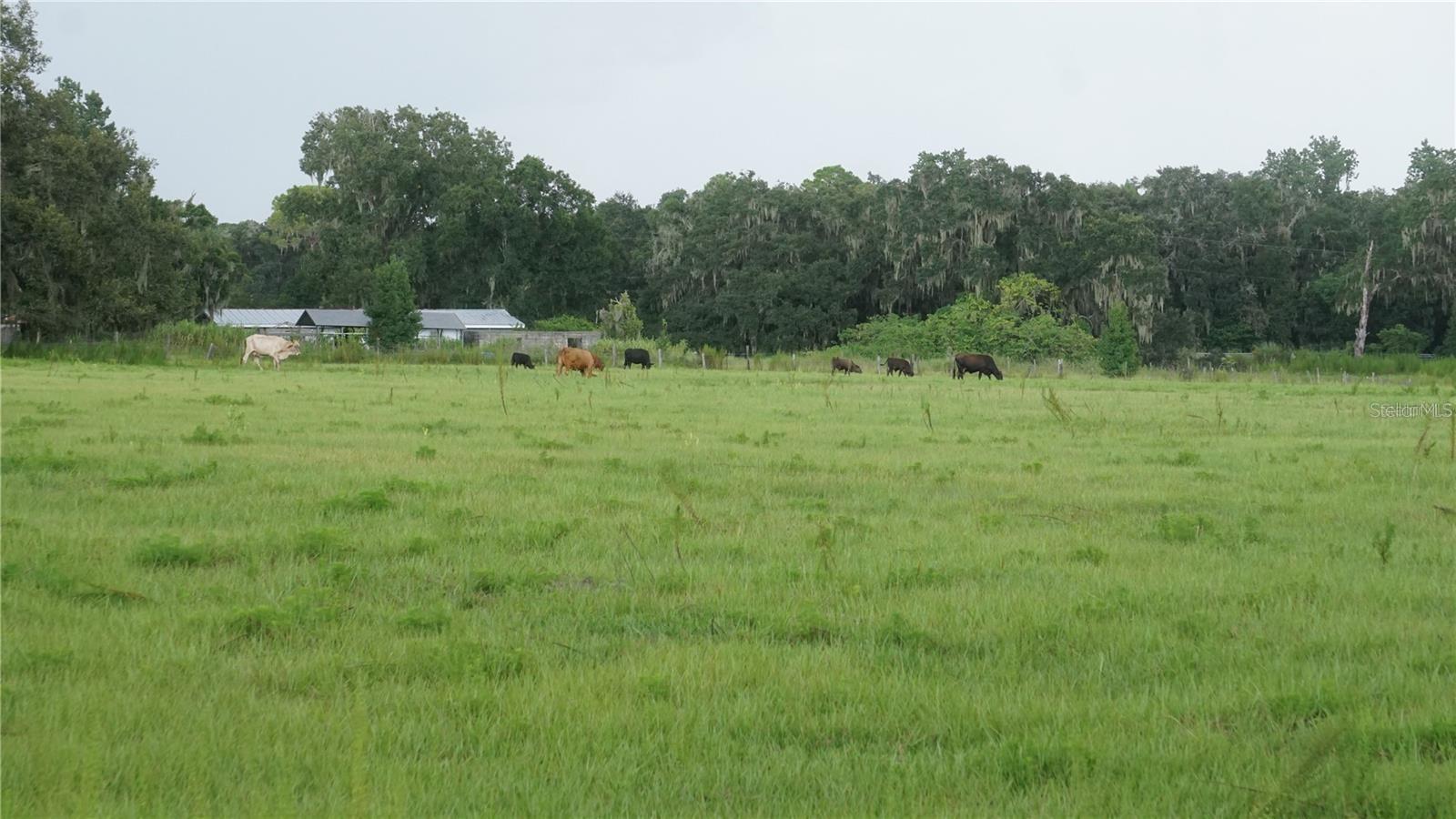 DURANT RD, DOVER, FL — photo 7