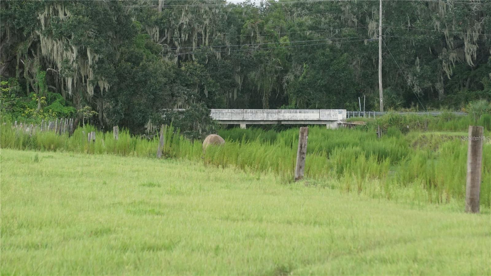 DURANT RD, DOVER, FL — photo 9