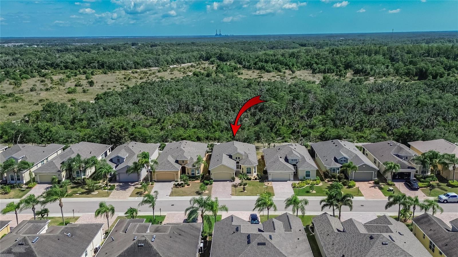 1525 EMERALD DUNES DR, SUN CITY CENTER, FL — photo 60