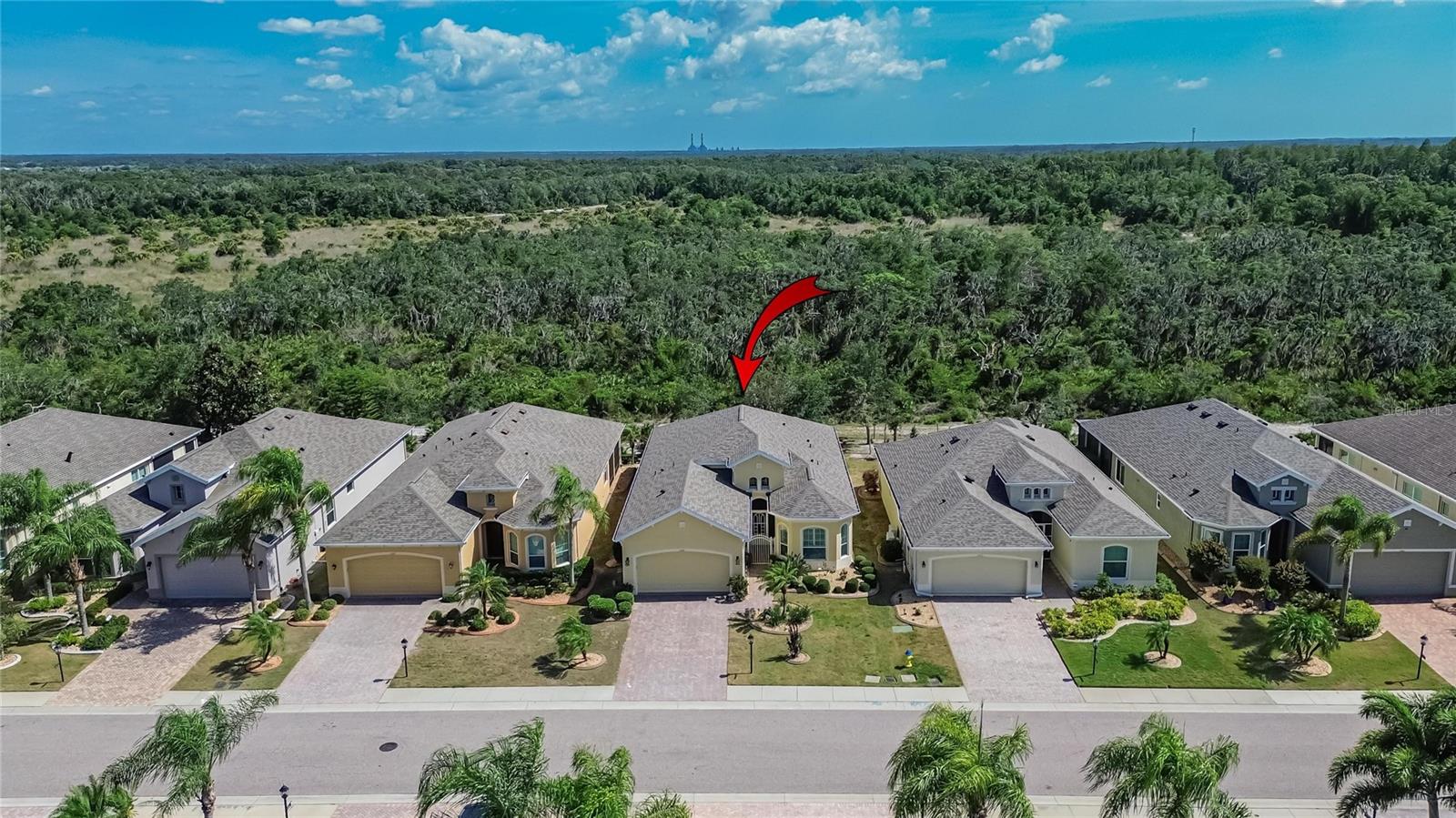 1525 EMERALD DUNES DR, SUN CITY CENTER, FL — photo 61