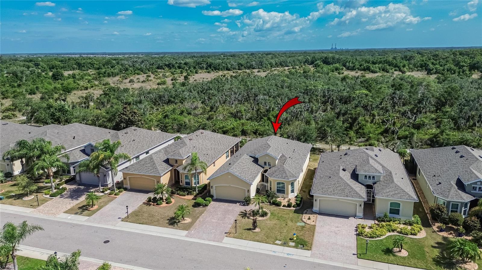 1525 EMERALD DUNES DR, SUN CITY CENTER, FL — photo 67