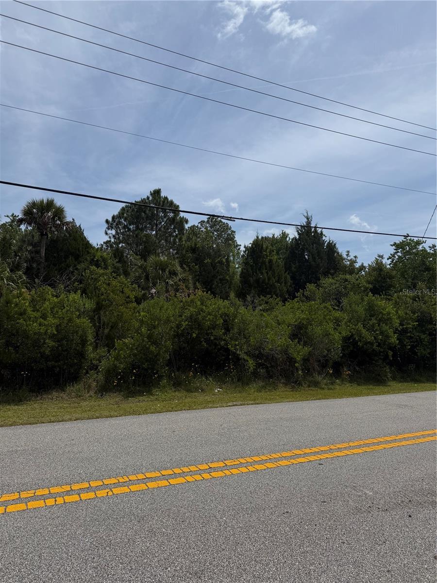 174 BIRD OF PARADISE DR, PALM COAST, FL — photo 2
