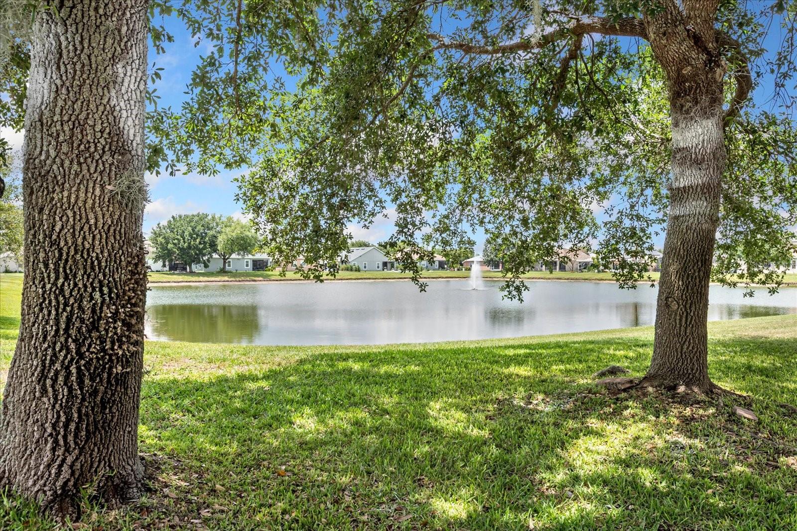 2886 OCONNELL DR, KISSIMMEE, FL — photo 21
