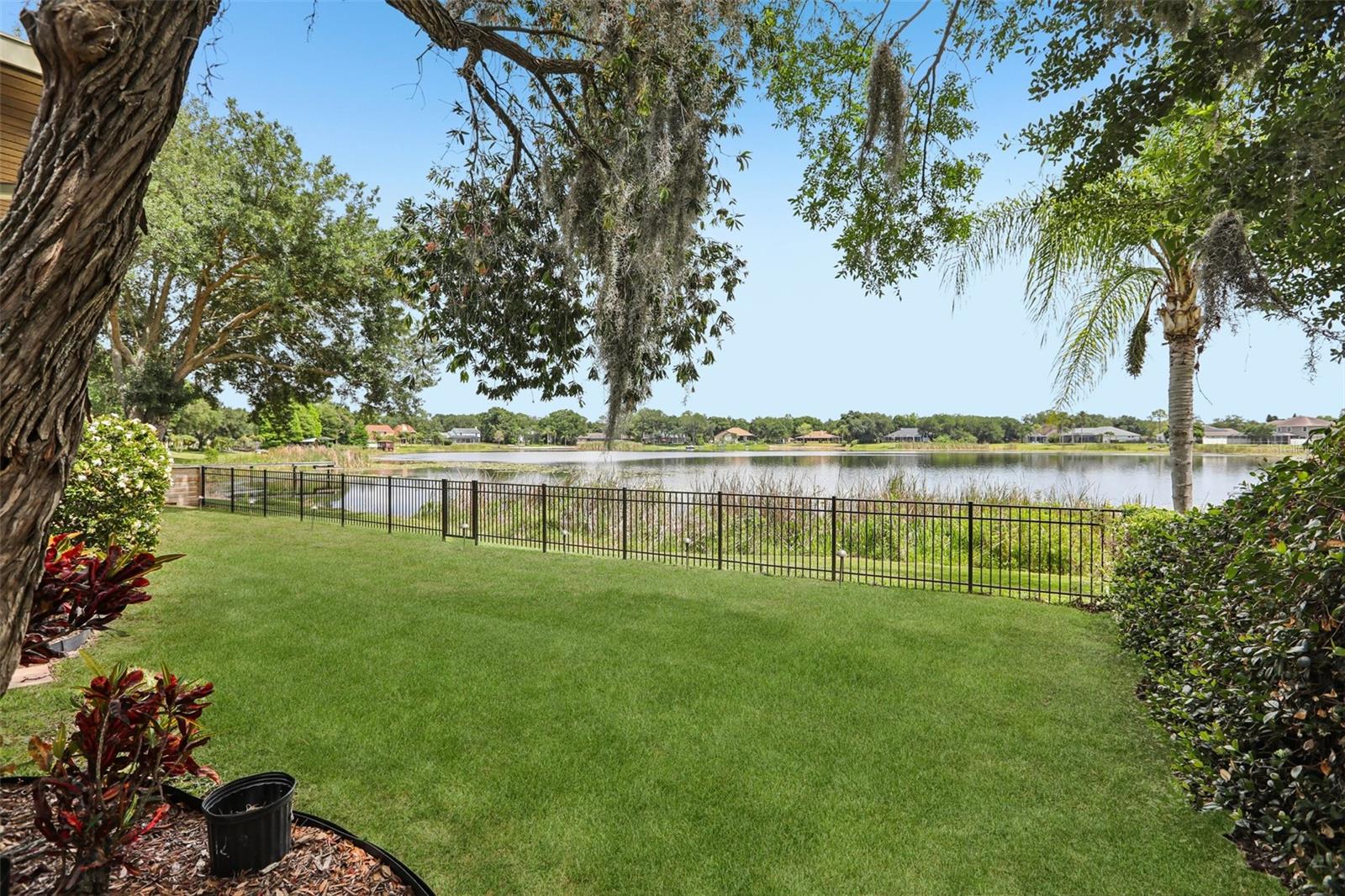 15720 BEREA DR, ODESSA, FL — photo 49