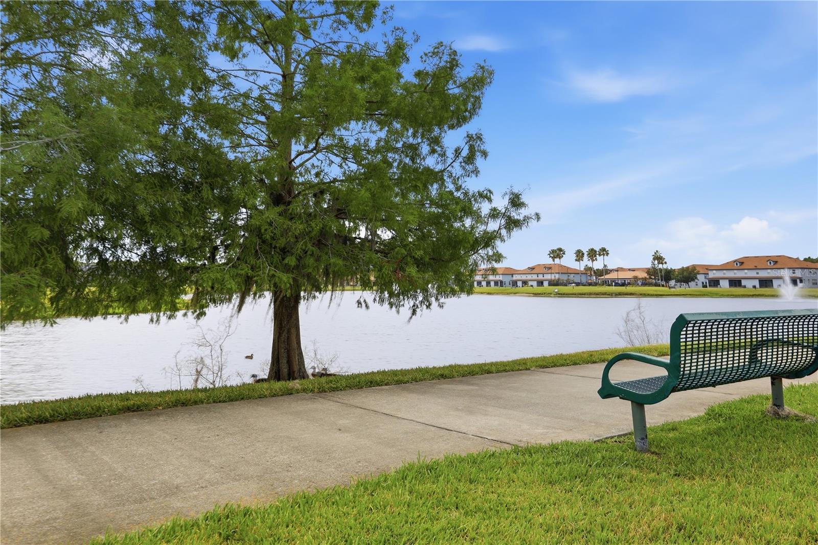 3001 LAUREL RUN LN #204, KISSIMMEE, FL — photo 35