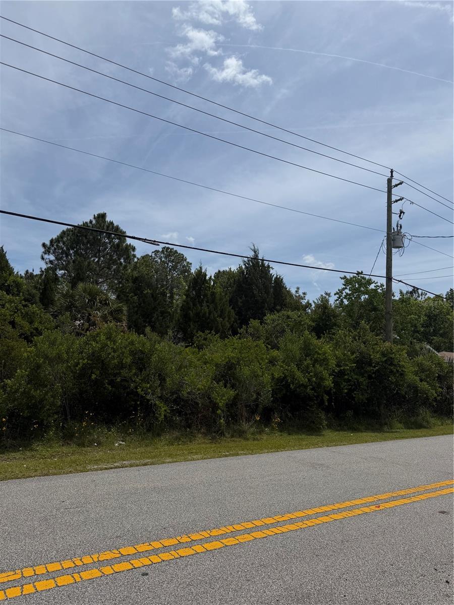 176 BIRD OF PARADISE DR, PALM COAST, FL — photo 3