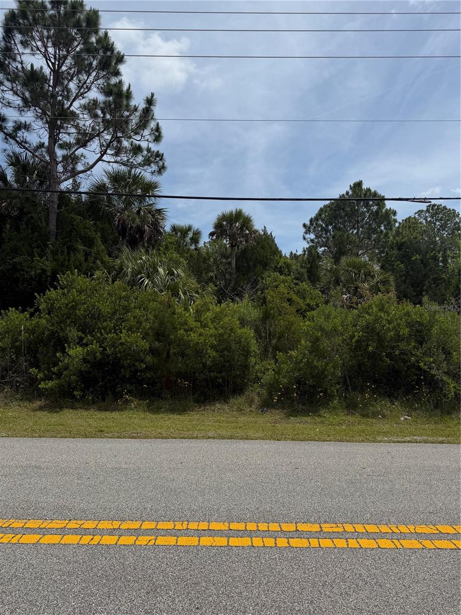 176 BIRD OF PARADISE DR, PALM COAST, FL — photo 4