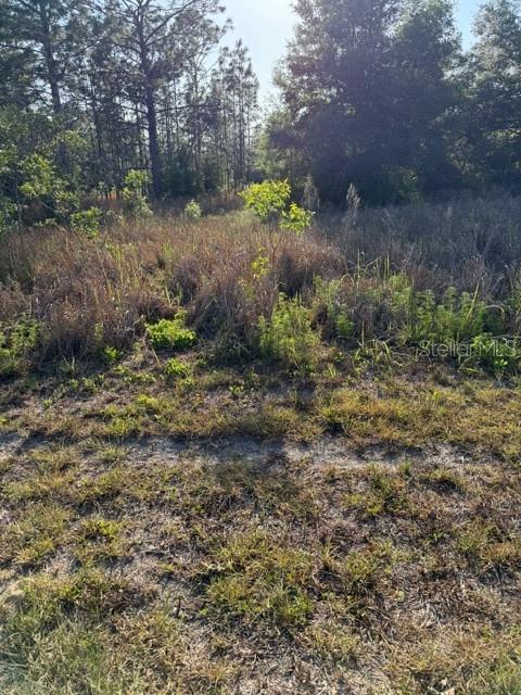 SW 142 CT, OCALA, FL — photo 3