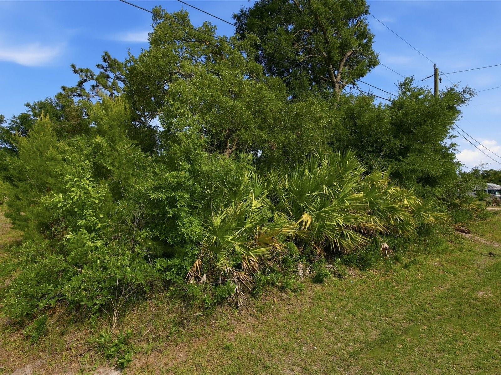 1001 10TH AVE, DELAND, FL — photo 5