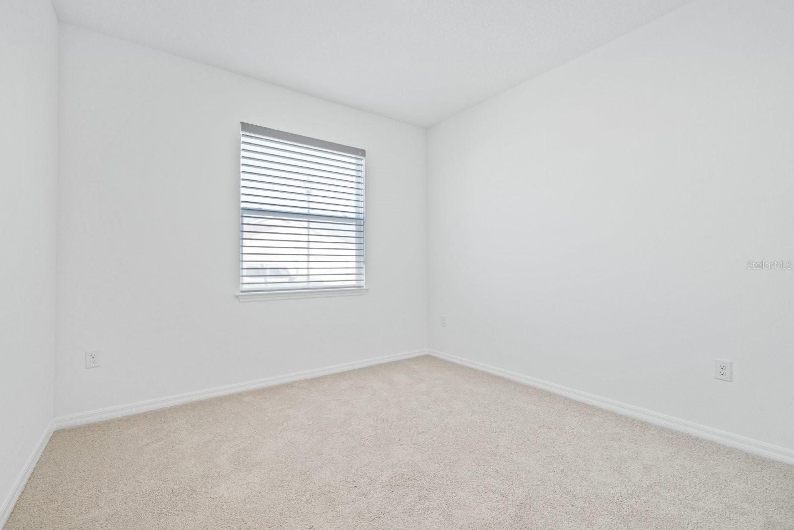 2477 BENDING BONSAI DR, WESLEY CHAPEL, FL — photo 18