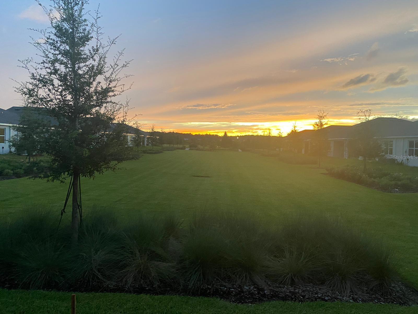 2477 BENDING BONSAI DR, WESLEY CHAPEL, FL — photo 21