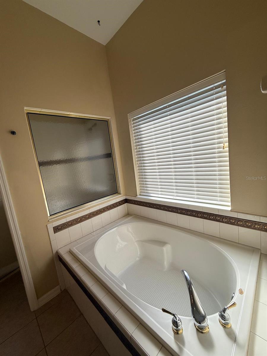 5111 IRONSIDES CT, TAVARES, FL — photo 47
