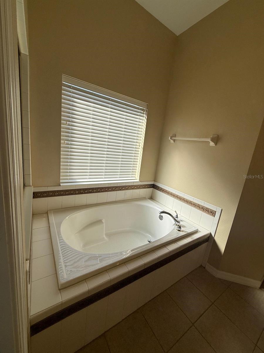 5111 IRONSIDES CT, TAVARES, FL — photo 54
