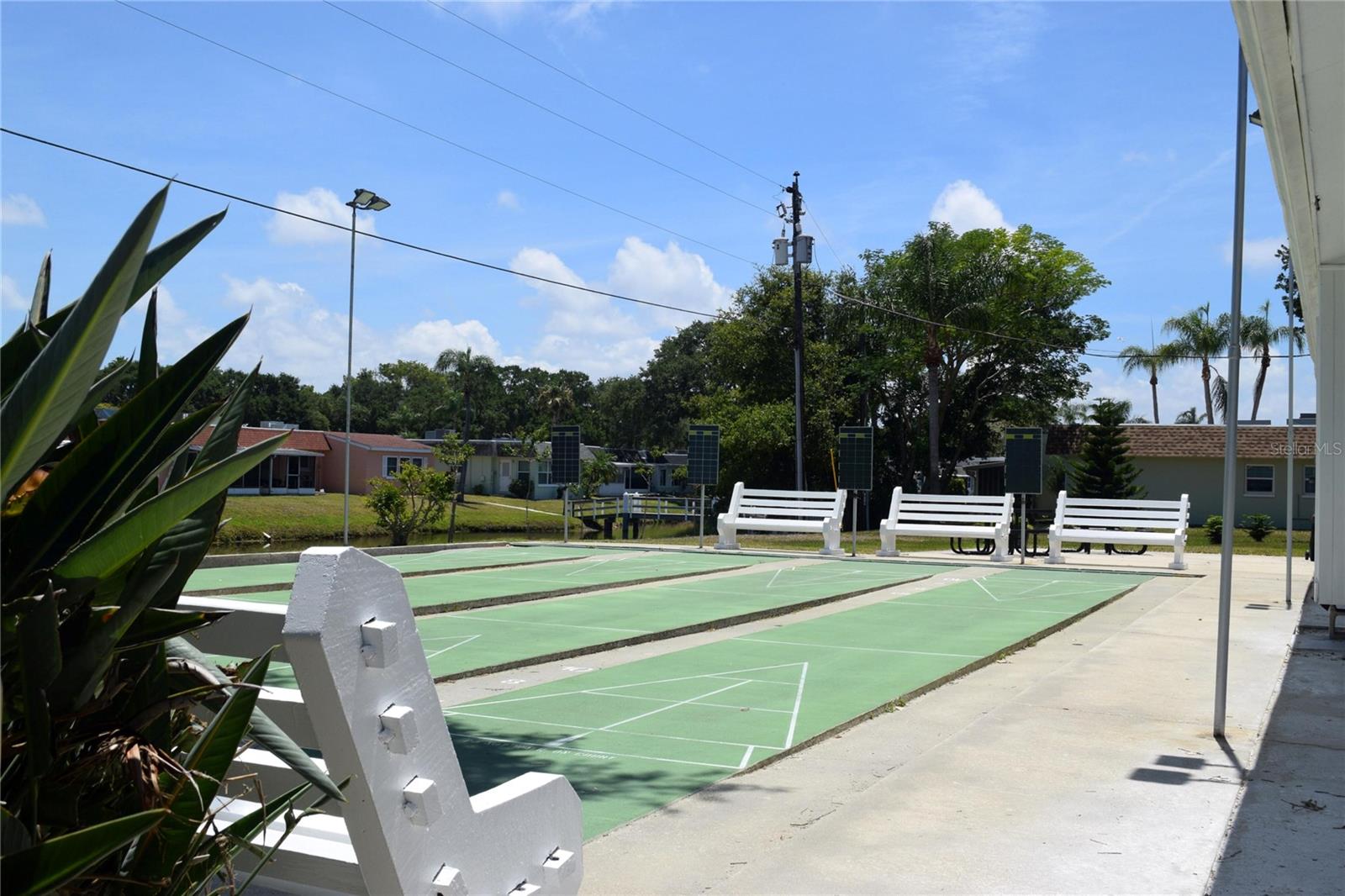 331 SKY LOCH DR W, DUNEDIN, FL — photo 33