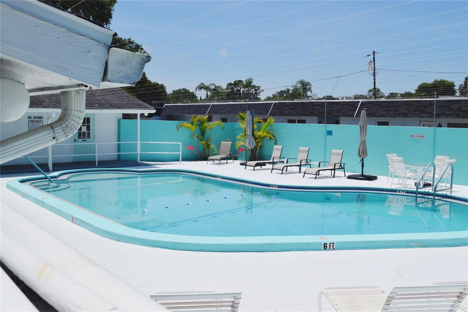 331 SKY LOCH DR W, DUNEDIN, FL — photo 37