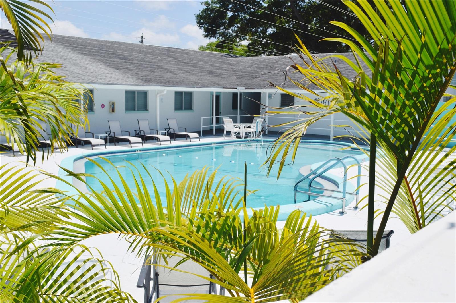 331 SKY LOCH DR W, DUNEDIN, FL — photo 38