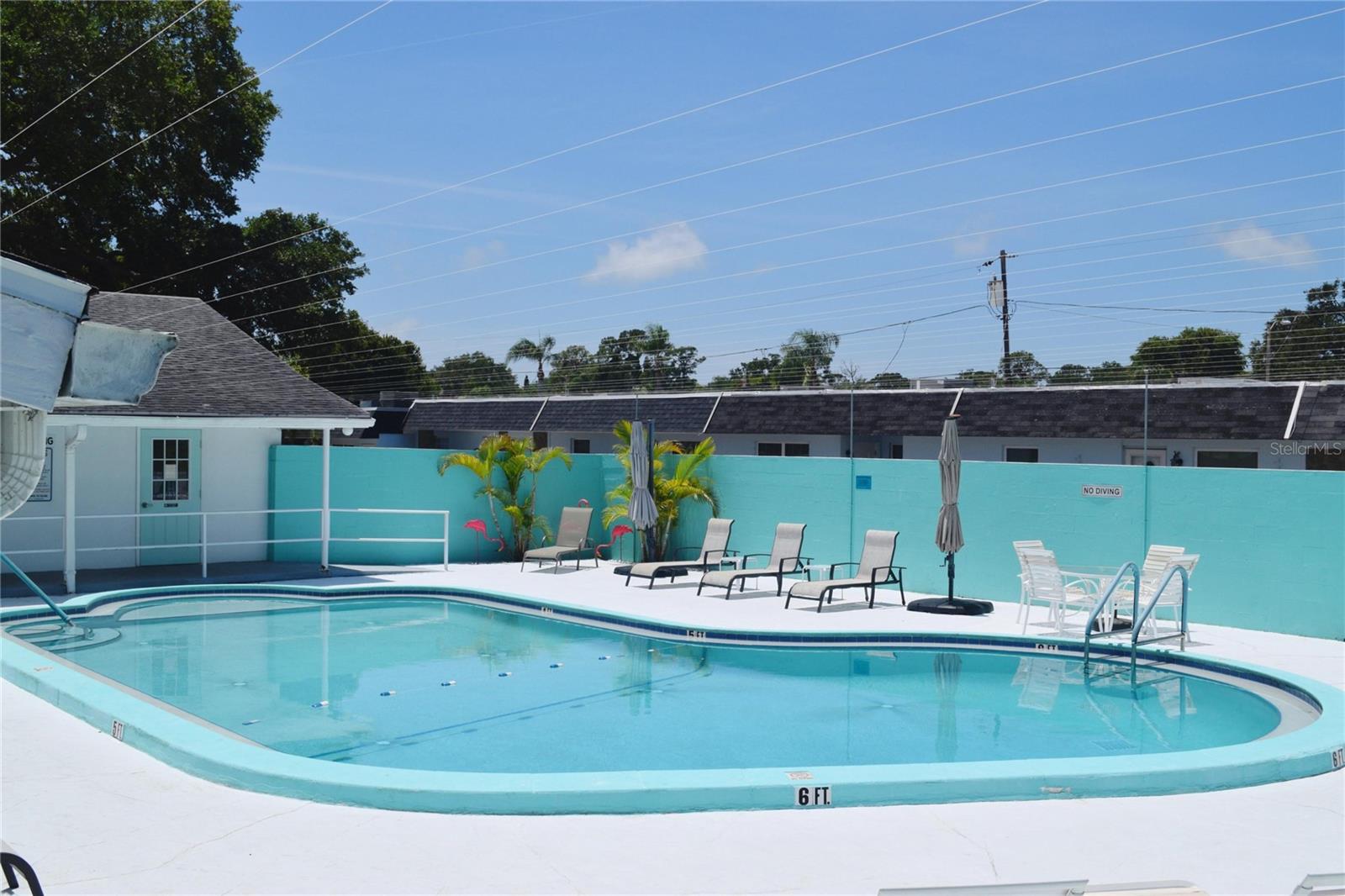 331 SKY LOCH DR W, DUNEDIN, FL — photo 39