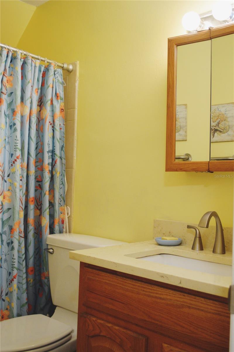 331 SKY LOCH DR W, DUNEDIN, FL — photo 29