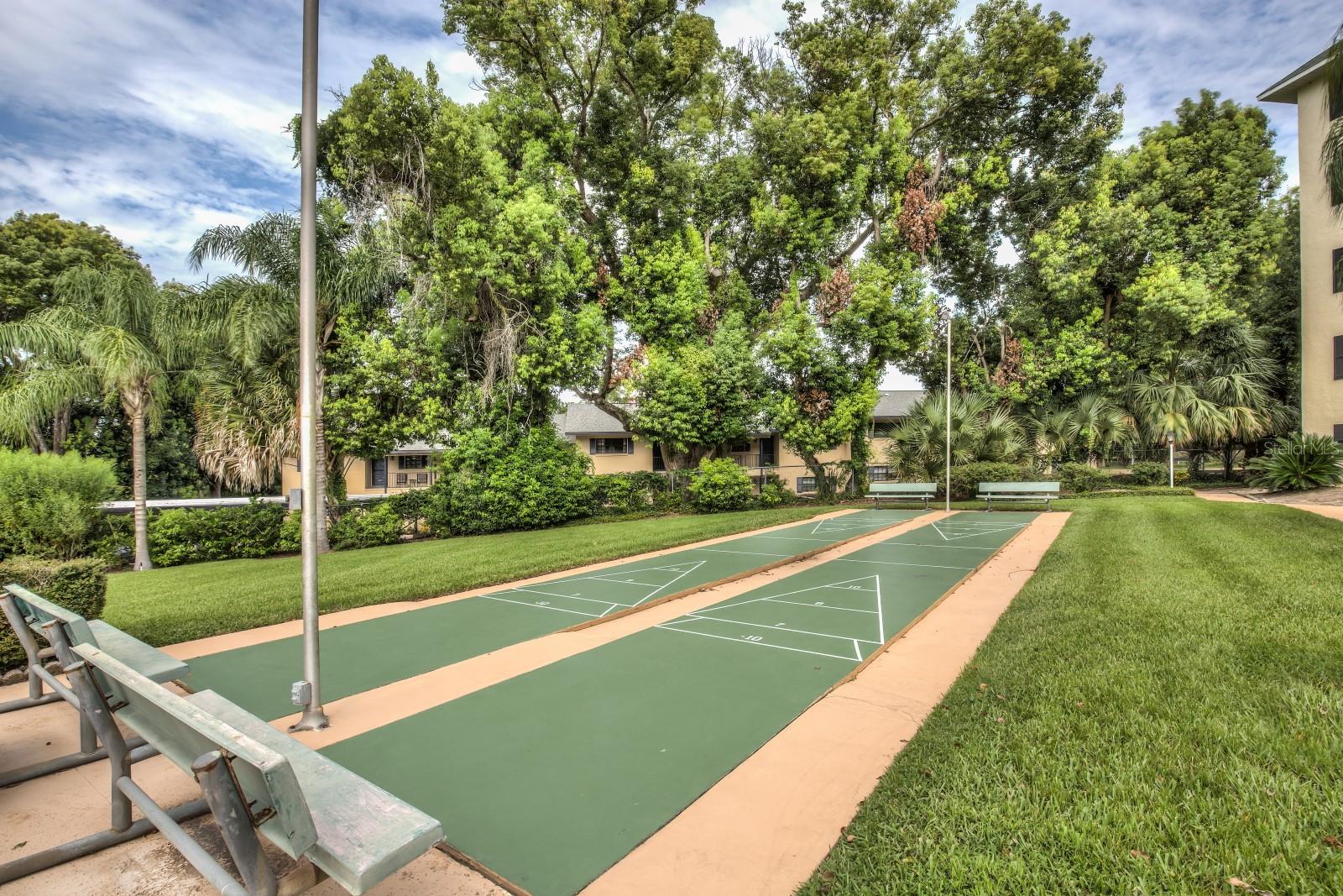 101 N GRANDVIEW ST #1, MOUNT DORA, FL — photo 100