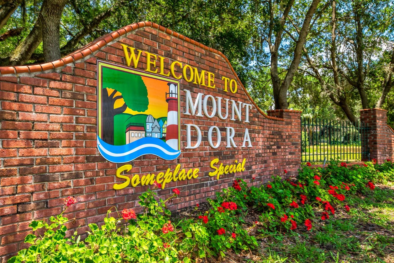101 N GRANDVIEW ST #1, MOUNT DORA, FL — photo 109