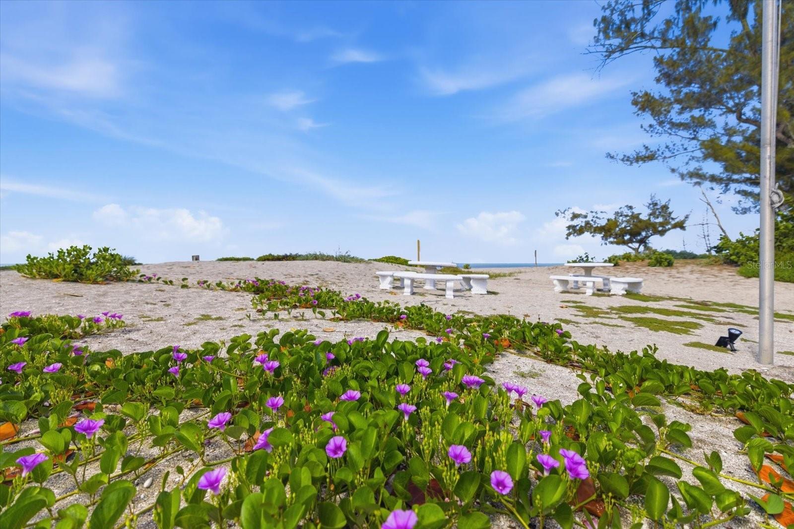 1585 TARPON CENTER DR #20, VENICE, FL — photo 49