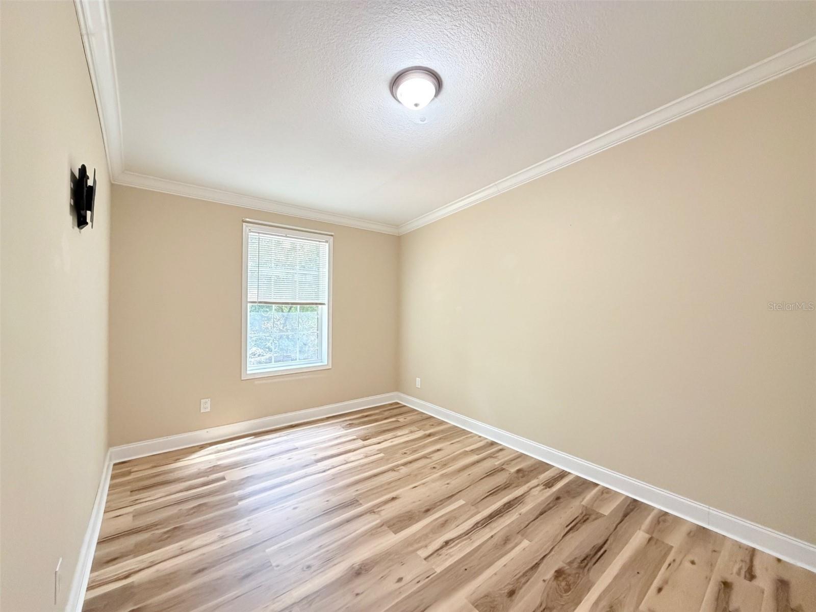 16744 RACE TRACK RD, ODESSA, FL — photo 13