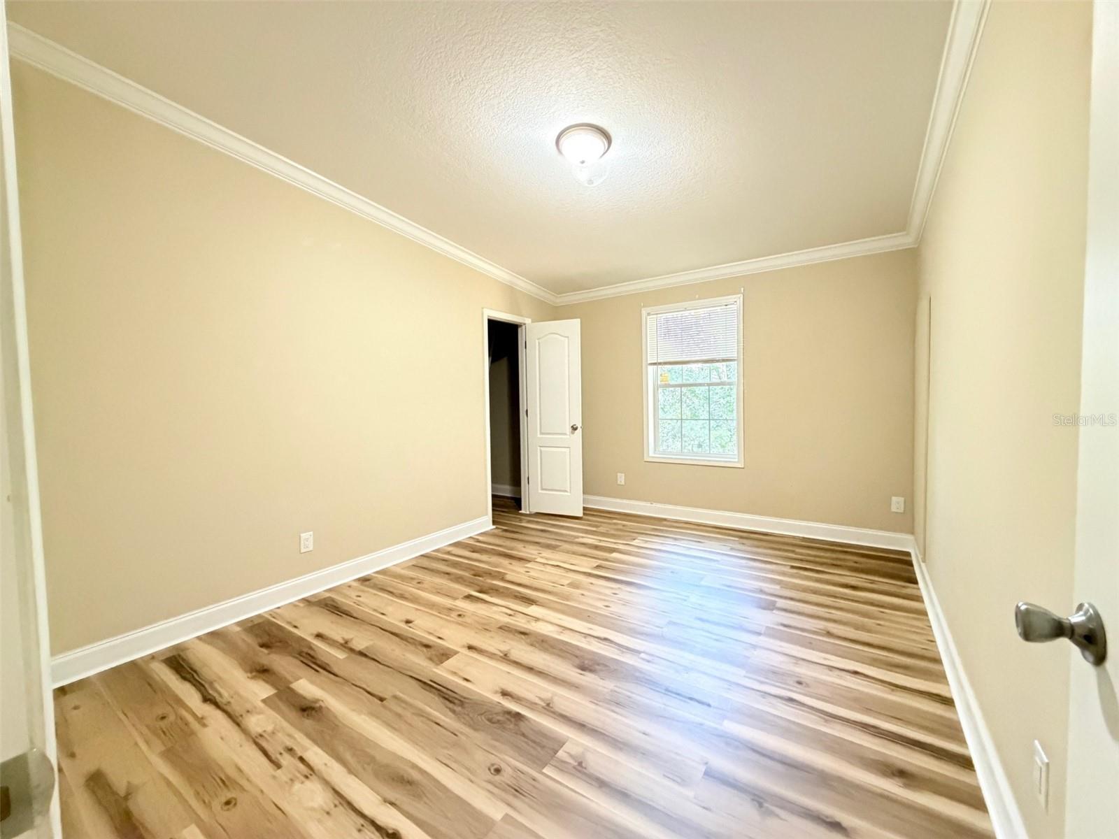 16744 RACE TRACK RD, ODESSA, FL — photo 15