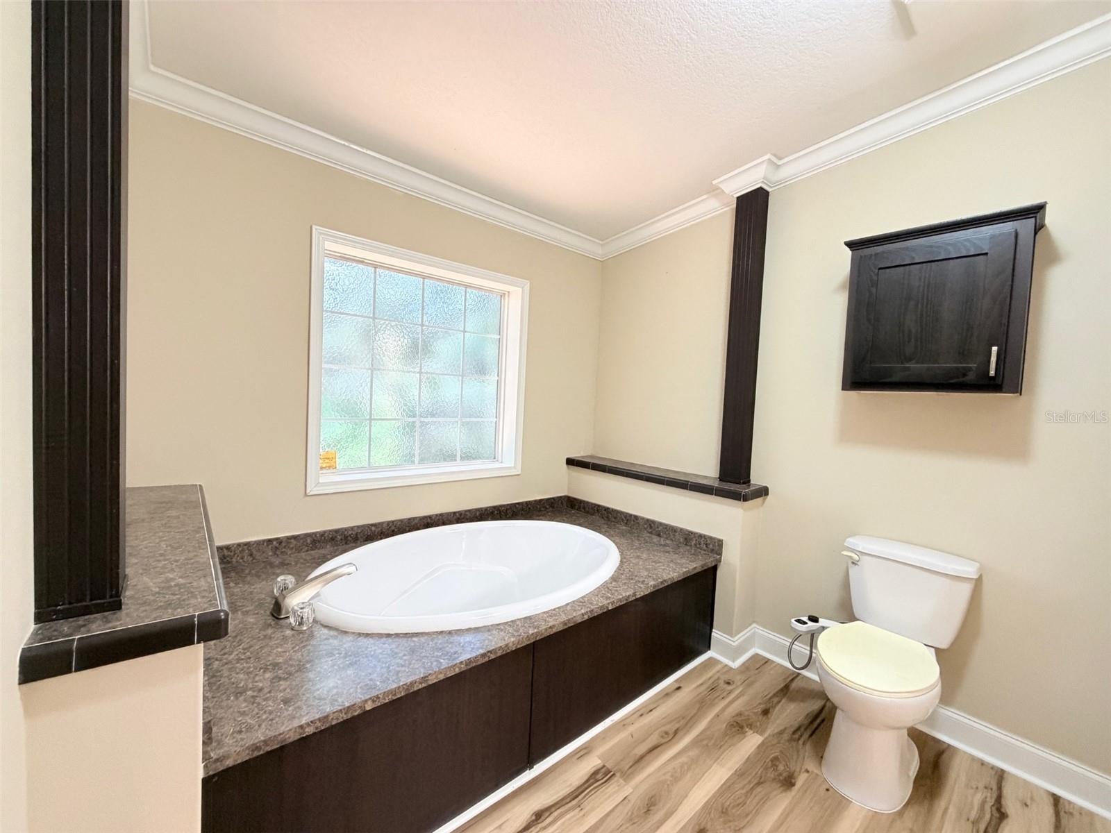 16744 RACE TRACK RD, ODESSA, FL — photo 38