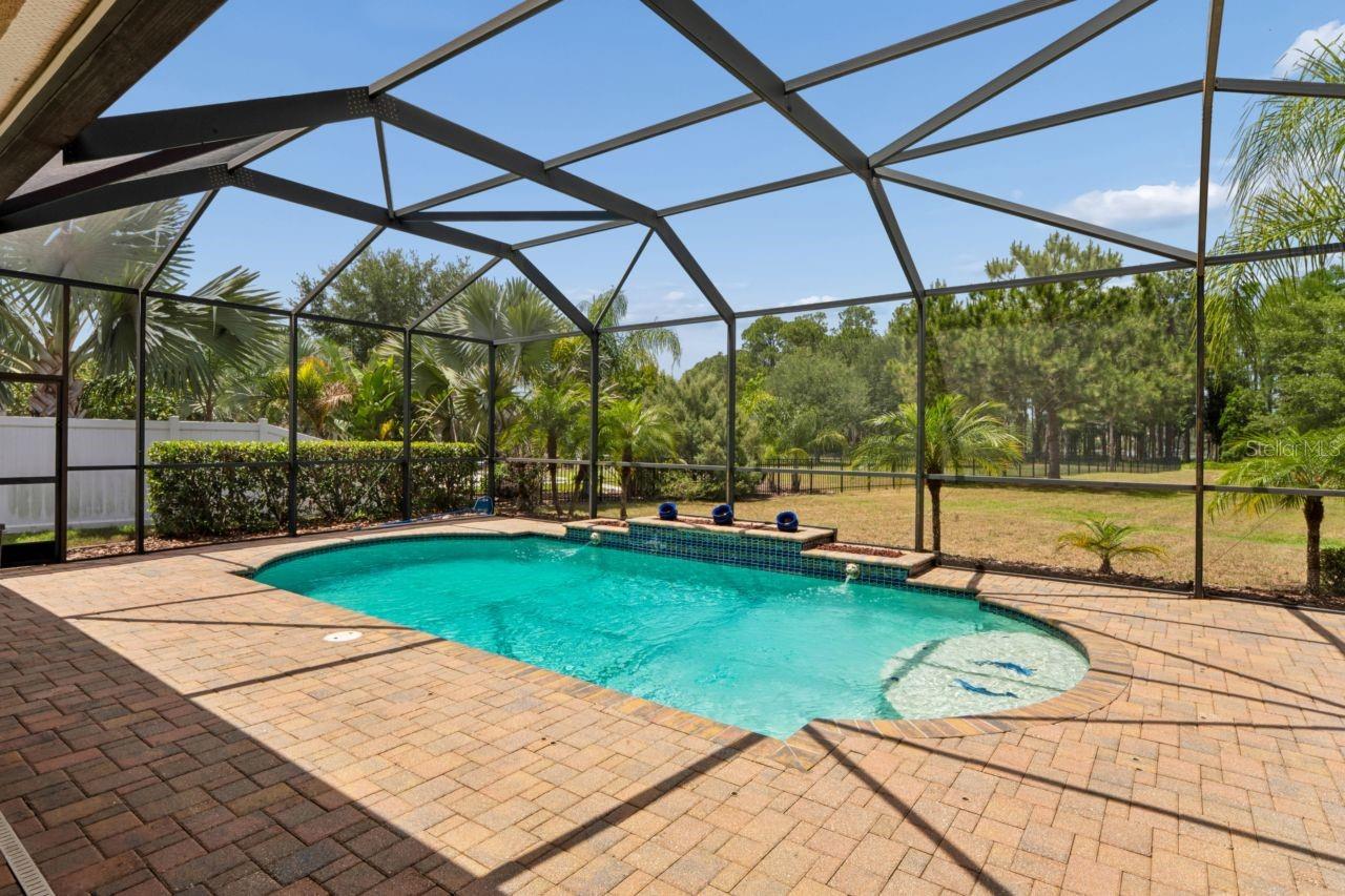 8719 CREEDMOOR LN, NEW PORT RICHEY, FL — photo 70
