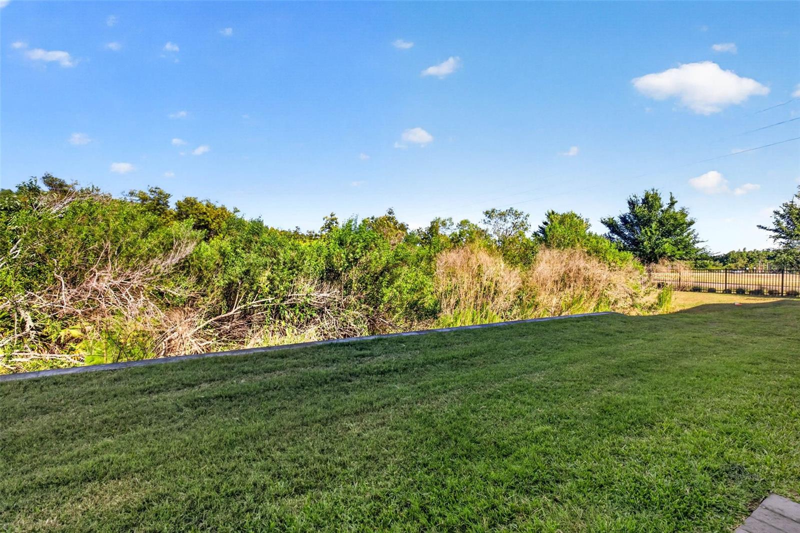 2464 STAPLEFORD PL, WESLEY CHAPEL, FL — photo 44