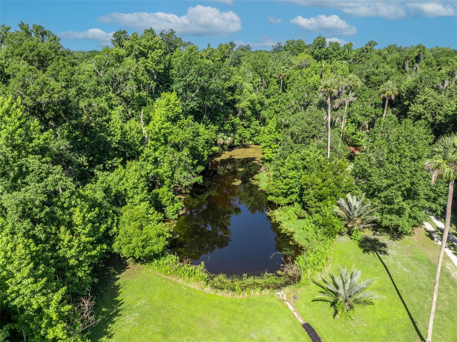 1483 MIRKWOOD CV, OVIEDO, FL — photo 4