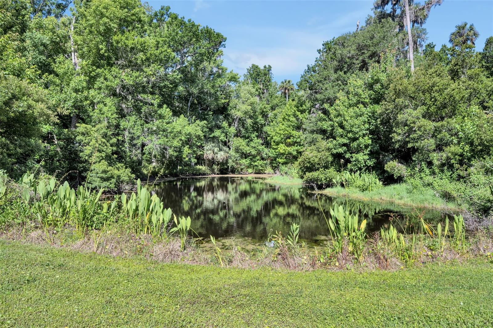 1483 MIRKWOOD CV, OVIEDO, FL — photo 53