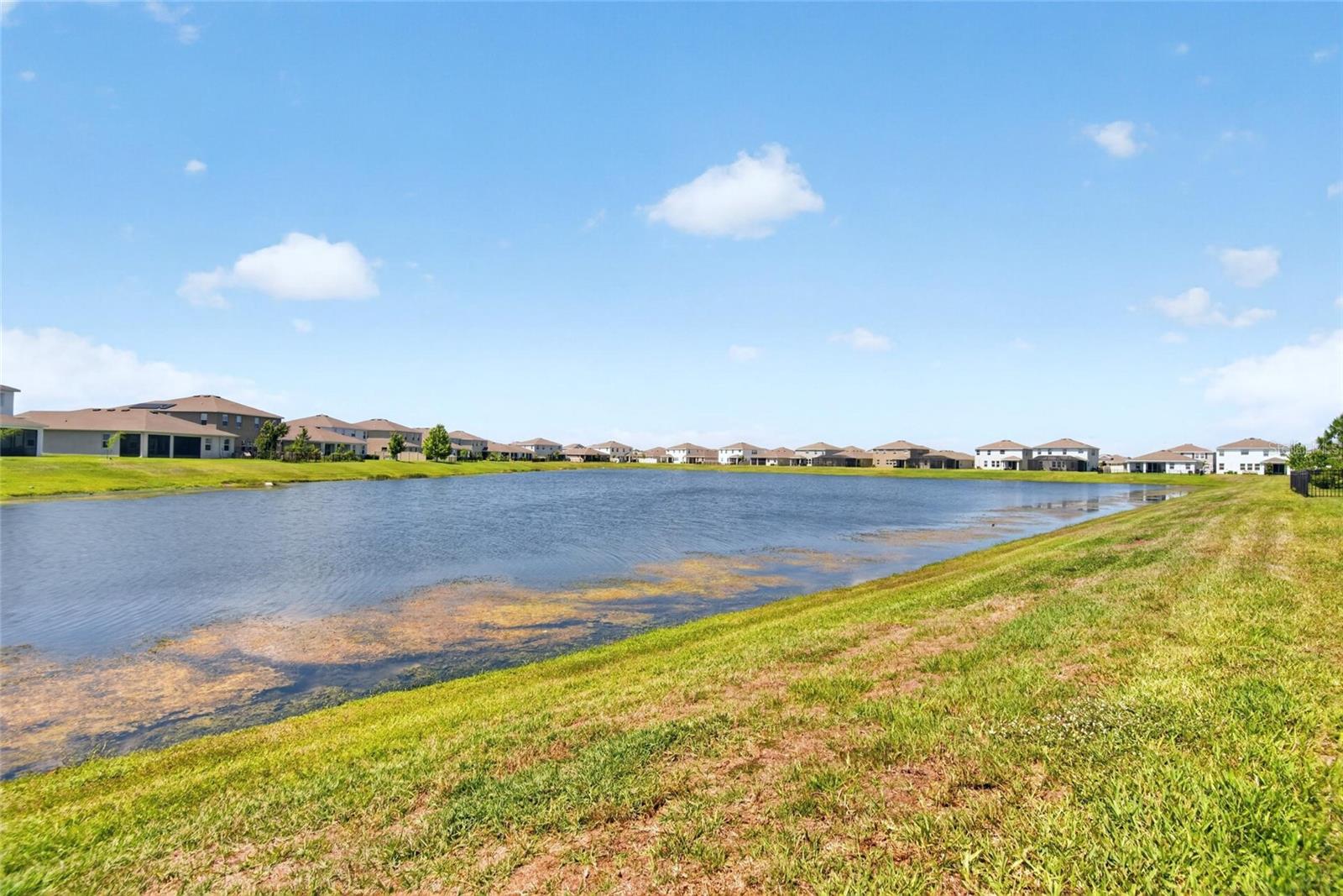 152 BRIGHT IBIS AVE, APOLLO BEACH, FL — photo 52