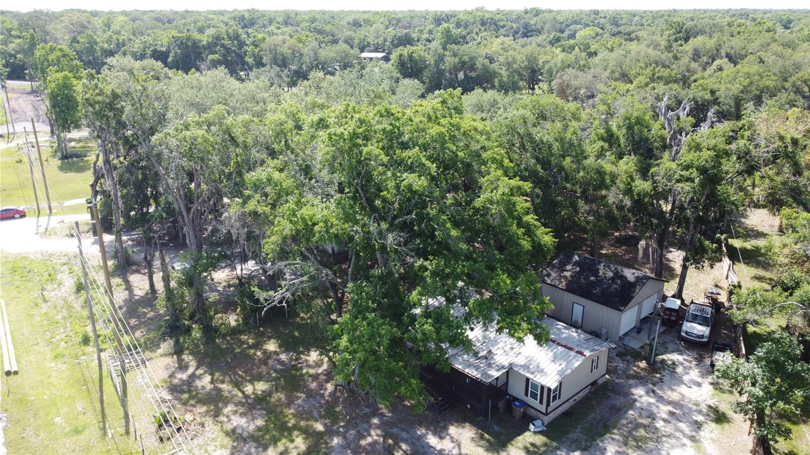 6590 OSCEOLA POLK LINE RD, DAVENPORT, FL — photo 19
