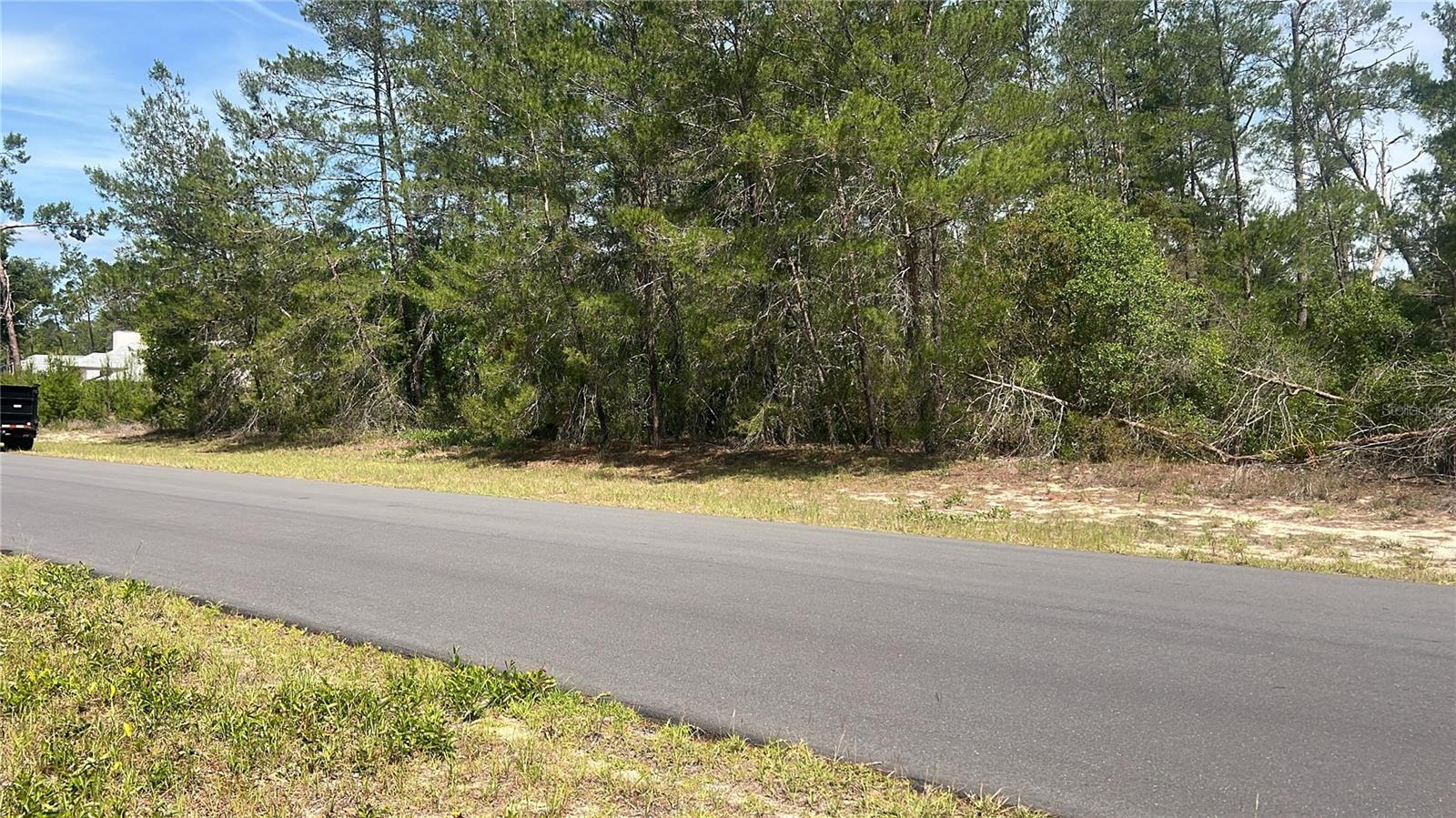TBD MARION OAKS GOLF WAY, OCALA, FL — photo 2