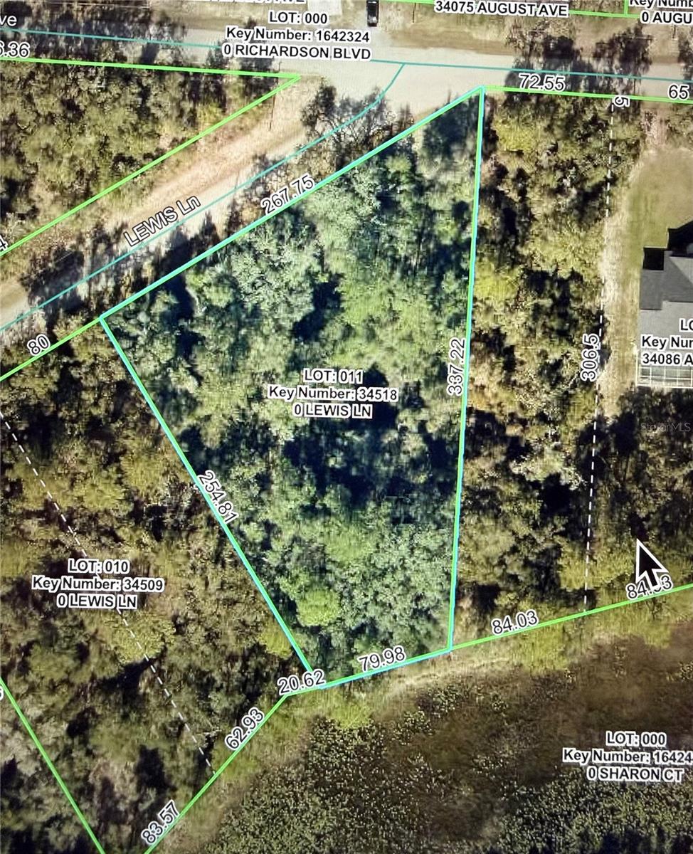 LEWIS LN, WEBSTER, FL