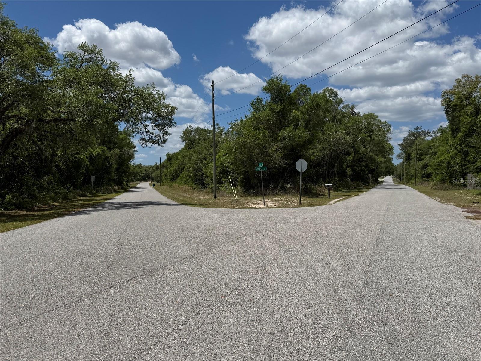 LEWIS LN, WEBSTER, FL — photo 3