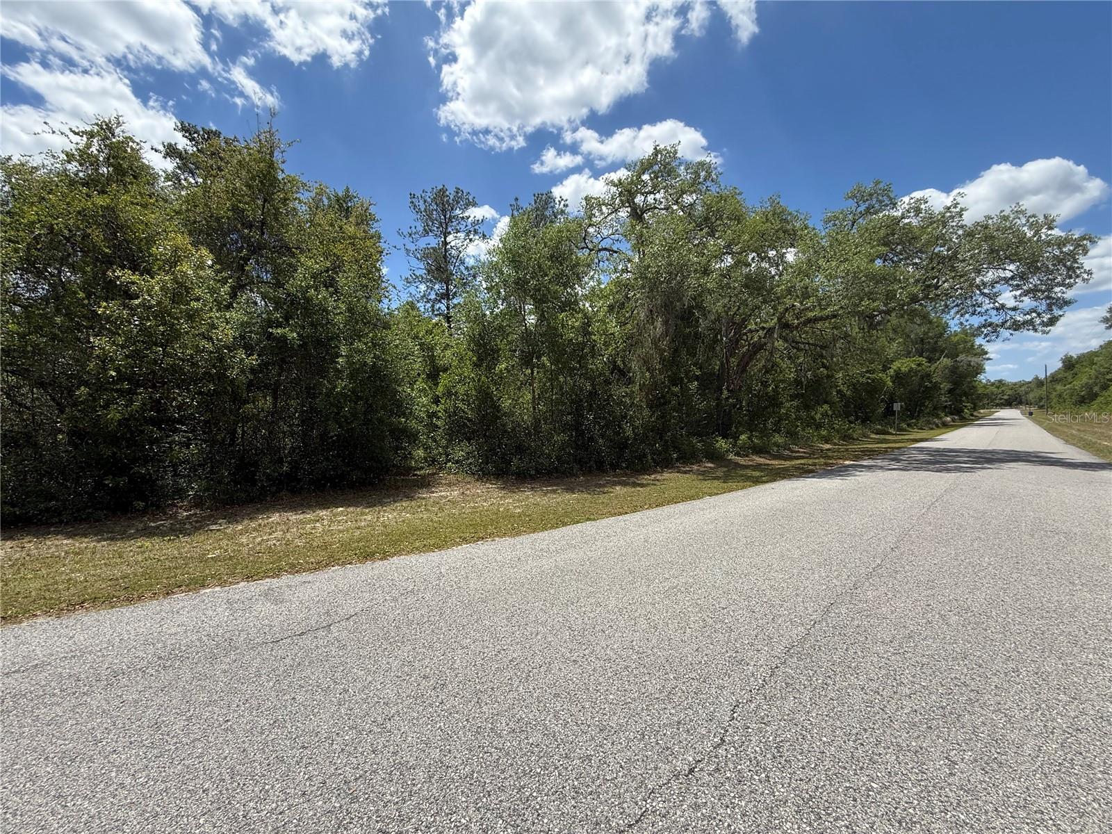 LEWIS LN, WEBSTER, FL — photo 4