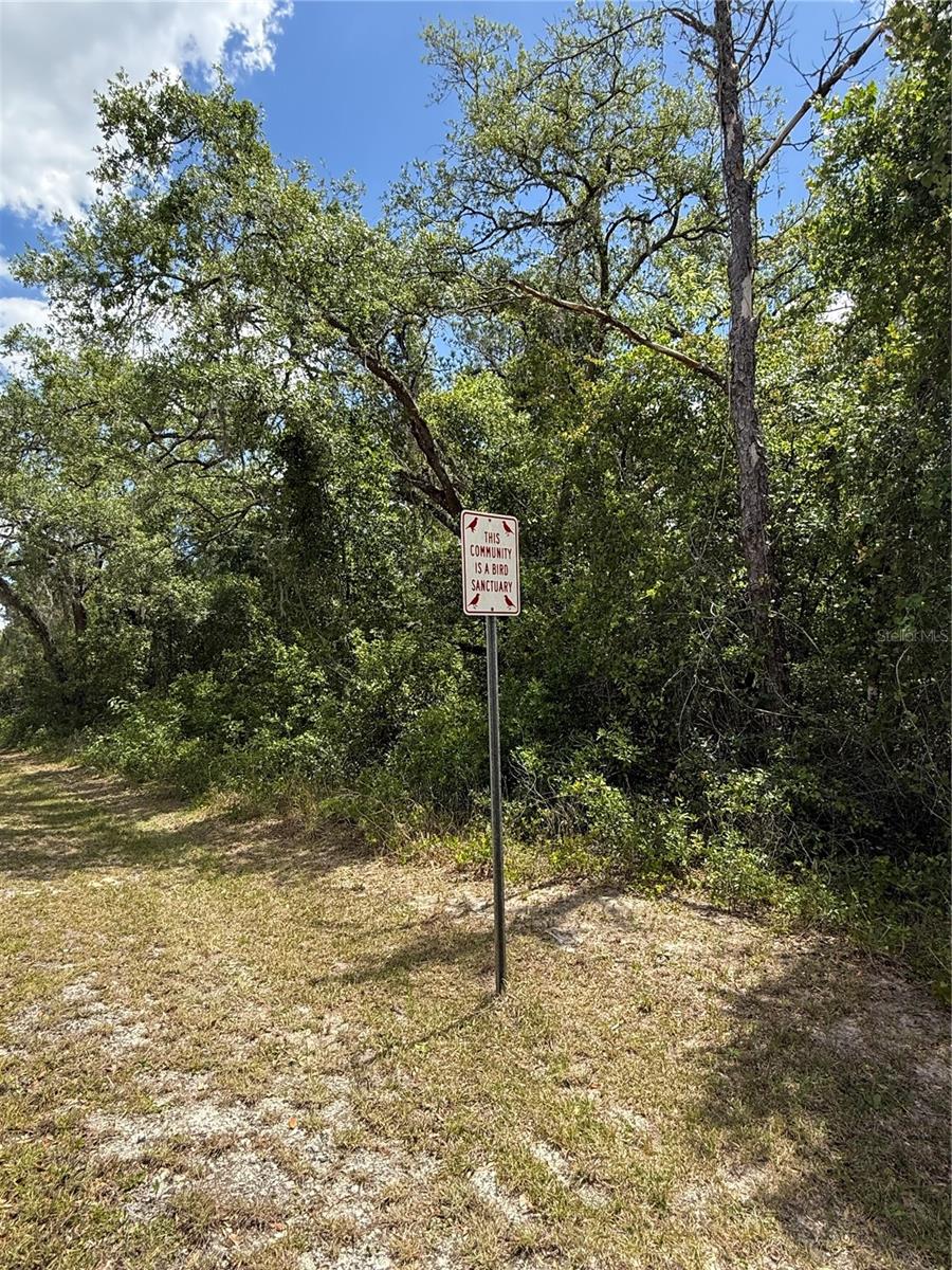 LEWIS LN, WEBSTER, FL — photo 7
