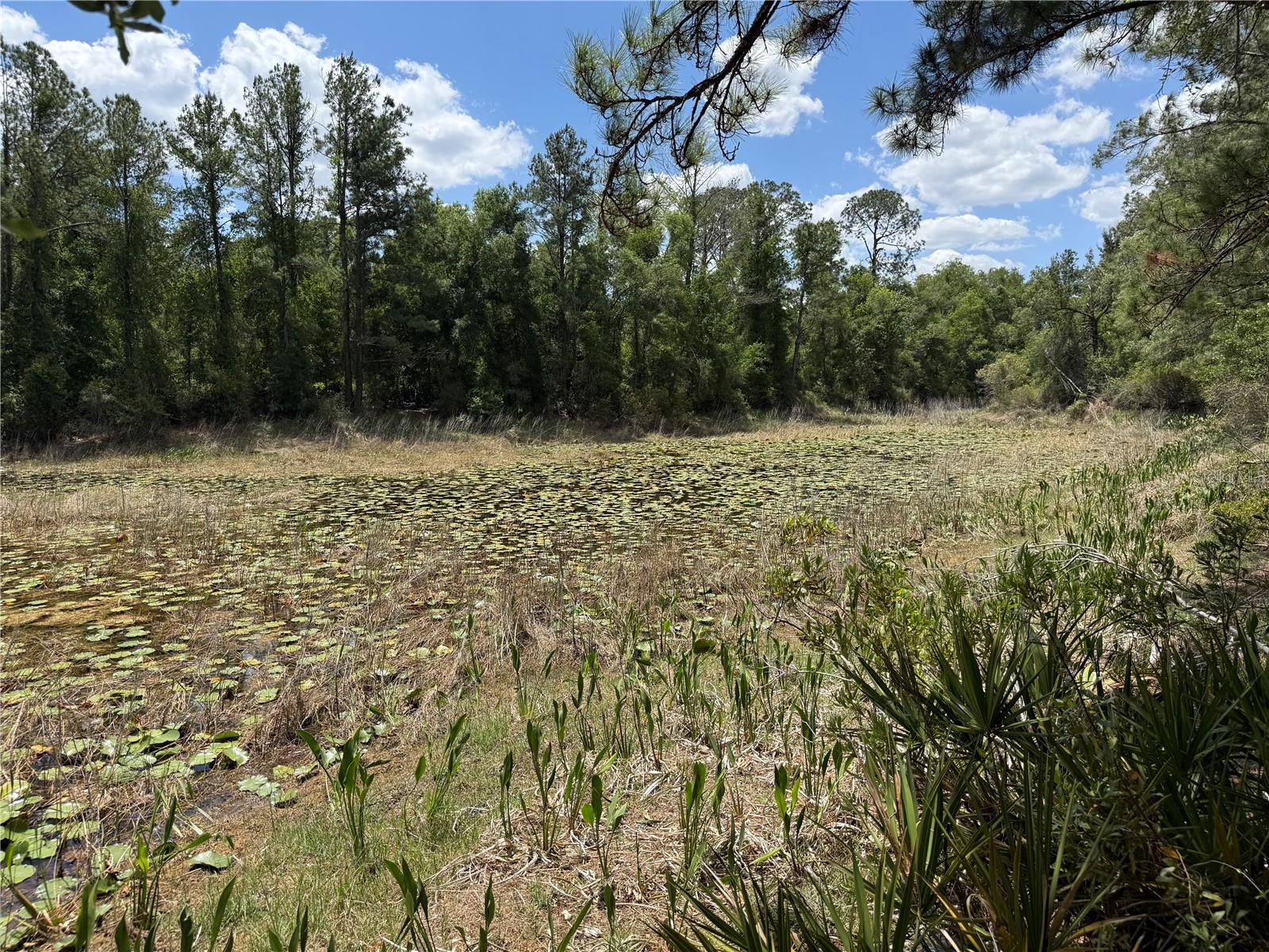 LEWIS LN, WEBSTER, FL — photo 10
