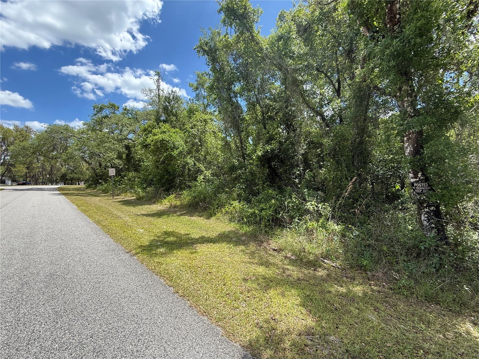 LEWIS LN, WEBSTER, FL — photo 11