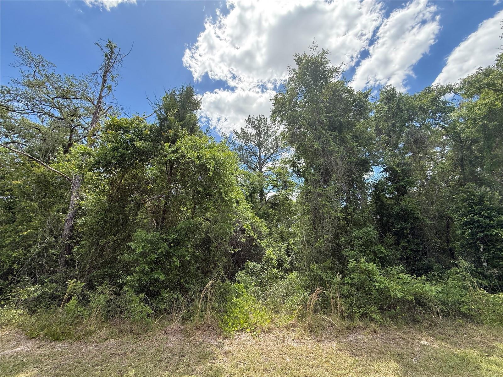LEWIS LN, WEBSTER, FL — photo 12